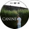 CANINE