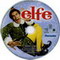 ELFE