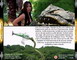 PIRANHACONDA